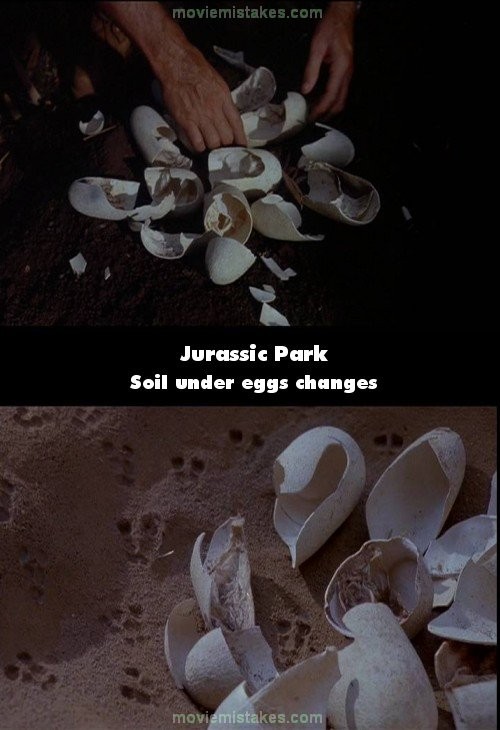 Phim Jurassic Park (Công viên khủng long), khi Sam Neill tìm thấy những chiếc vỏ trứng bên cạnh gốc cây, bên dưới vỏ trứng là một vùng đất đen. Nhưng ở cảnh khác, khán giả lại thấy vỏ trứng ấy nằm trên cát.